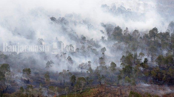 image (88)